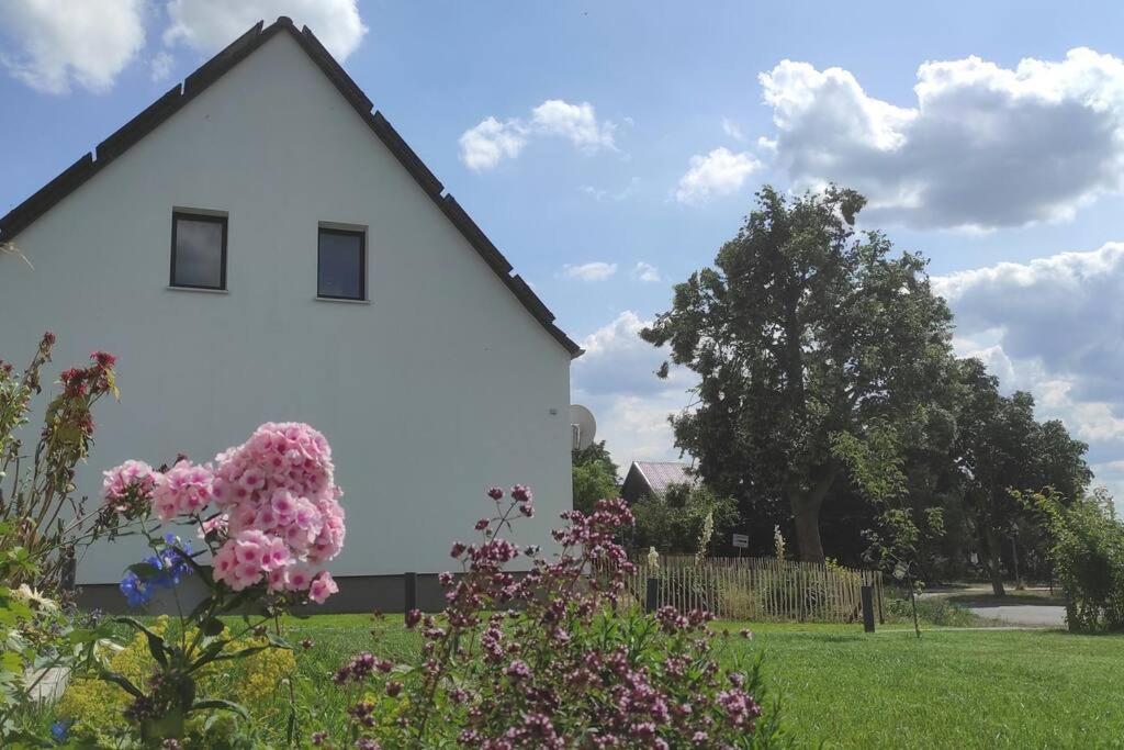 Storchennest - Ferienwohnung Am Storchenradweg Ketzür 외부 사진