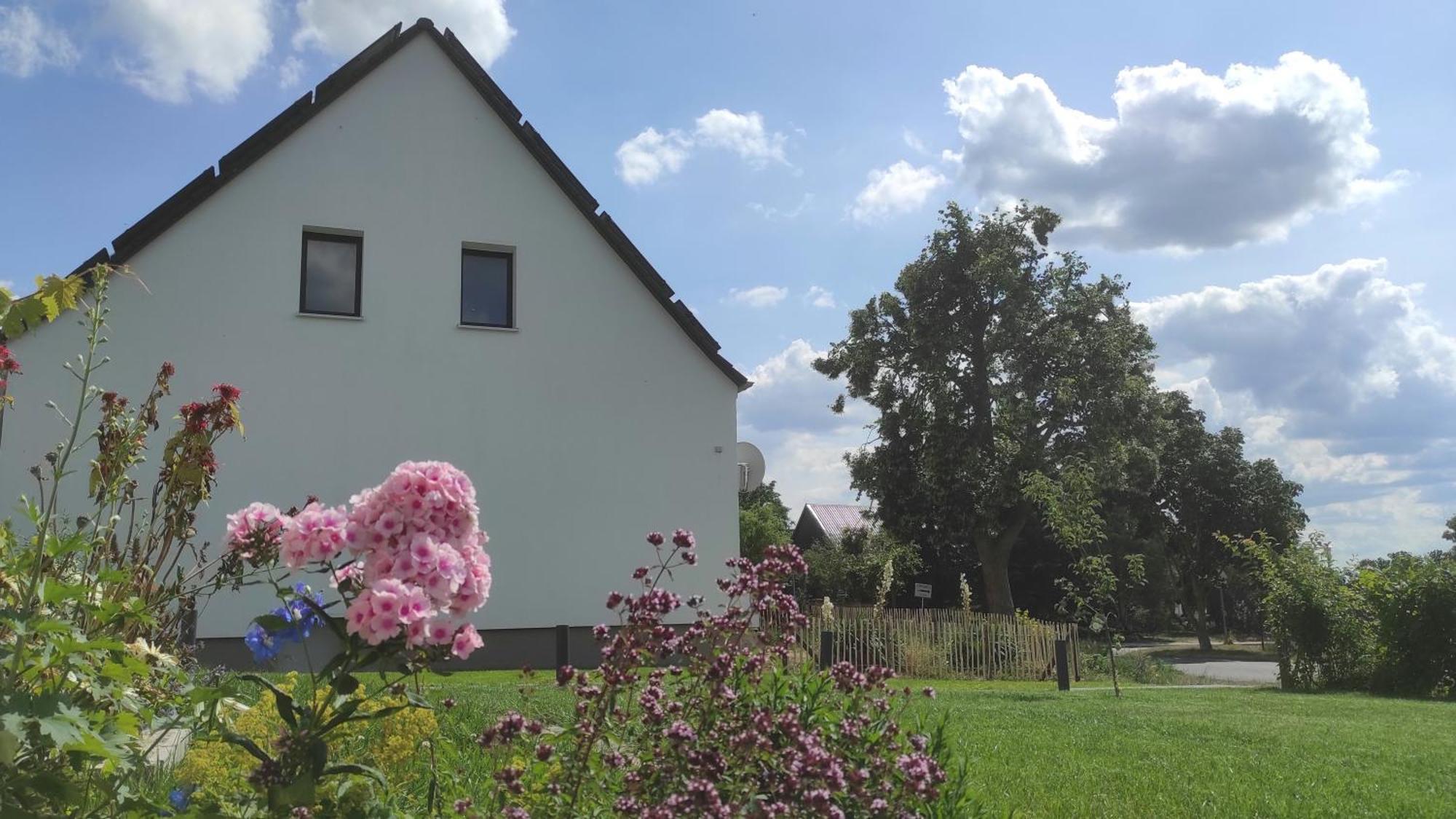 Storchennest - Ferienwohnung Am Storchenradweg Ketzür 외부 사진